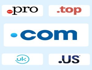 multiple domain names TLDs